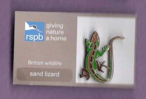 Rspb pin badge sand lizard - pin,