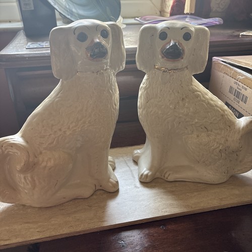 Pair antique victorian dogs - pair, of