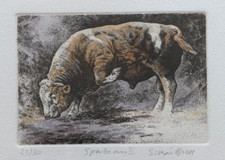 Simon Bull. Signed, Limited Etching. Spartacus II. 23/30
