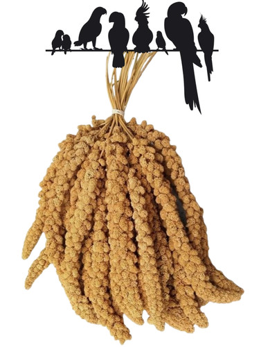 Premium millet spray springs - spray,