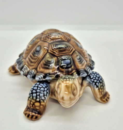 Wade father tortoise - wade, trinket
