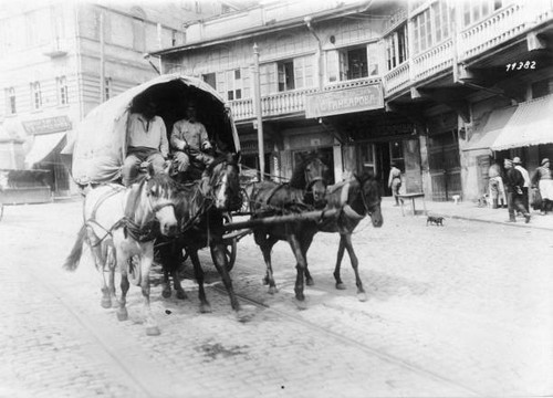 Horse team pulling covered - team,