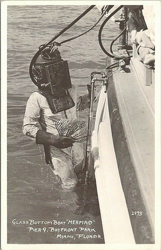 Rppc scuba diving from glass - scuba-diving,
