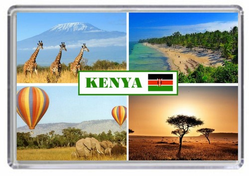 Kenya fridge magnet - fridge, 01