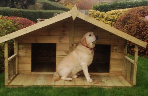 6x5 double wooden dog - double,