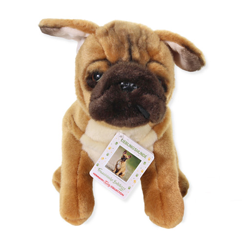 Teddy hermann french - hermann, bulldog