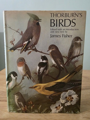 Thorburn birds archibald - birds,