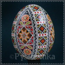 Real Ukrainian Pysanky Chicken