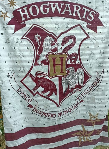 2001 harry potter - 2001, hogwarts