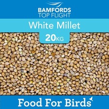 White Millet 20kg Premium Wild Bird Seed Food For Parrot Finch Aviary Canary