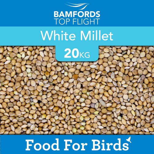 White millet 20kg - 20kg, bamfords