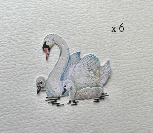 Tattered lace swan cygnets - tattered,