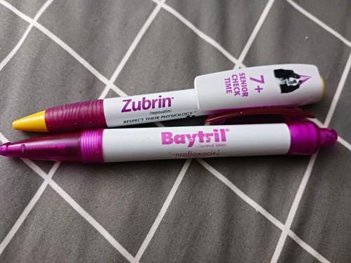Zubrin baytril novelty - &,