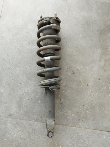 Strut complete ram 1500 - complete,