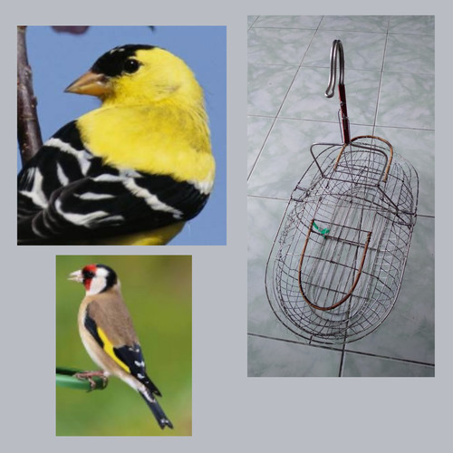 Goldfinch steel double action