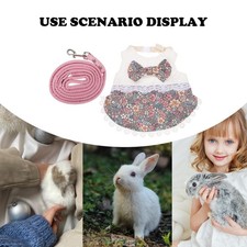  Lovely Rabbit Lace Dress