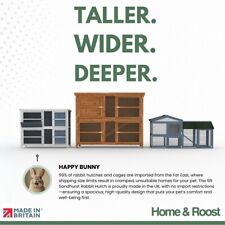 5ft XL Sandhurst Rabbit &