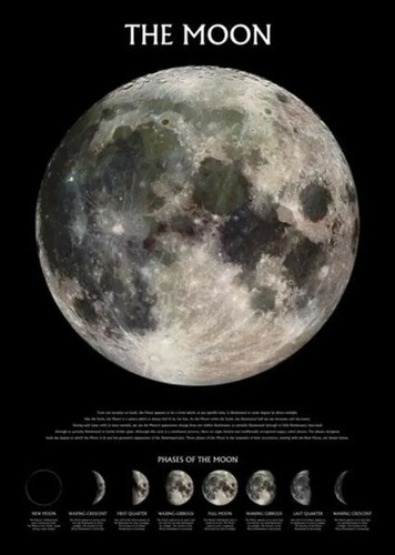 Phases the moon poster king - the,