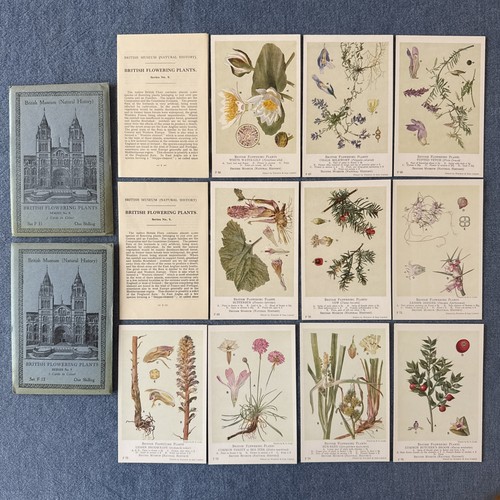 British flowering plants - flowering,