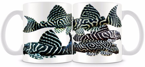 Plecostomus fish mug l333 plec - plecostomus,