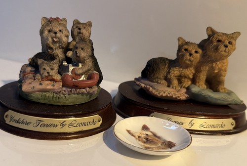 Yorkshire terrier dog - yorkshire,
