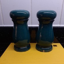 Denby Greenwich Green Cruet