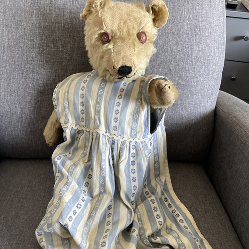 Vintage teddy bear - vintage,