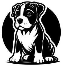 large Xl American Bully Pup