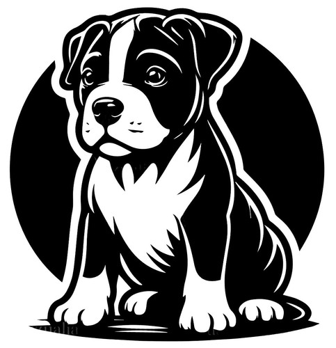 Large american bully pup - large,