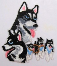 Alaskan Husky Dog Design Heat