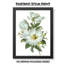 BOTANICAL FLOWERS A4 PRINT