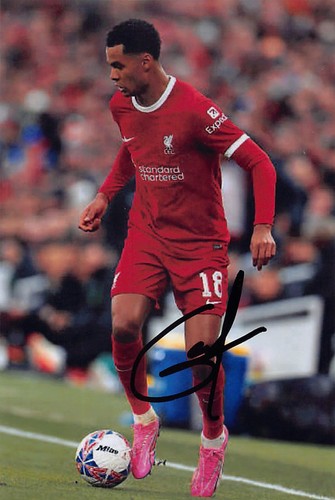 Cody gakpo signed 6x4 - signed,