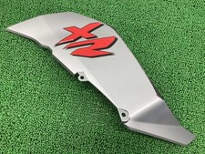 F900XR Side Cowl, Left, Gray