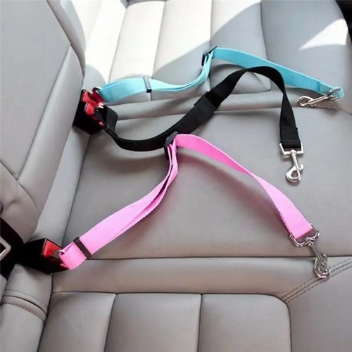 Pet dog seat belt - dog,