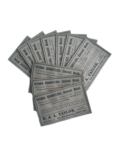 Vintage paper seed packets