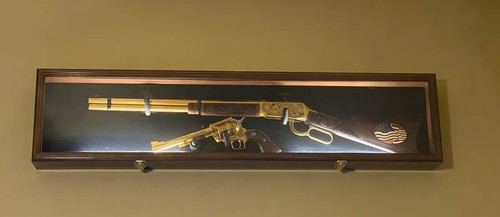 Gun display case - case, light