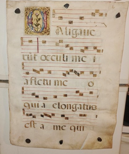 1500s Illuminated Medieval