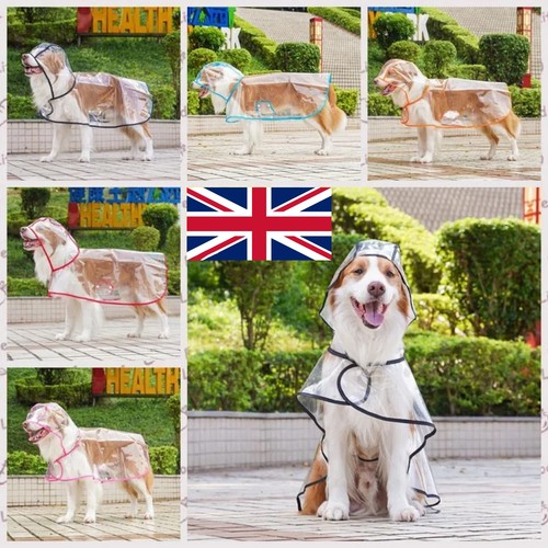 Pet raincoat transparent dog - pet,