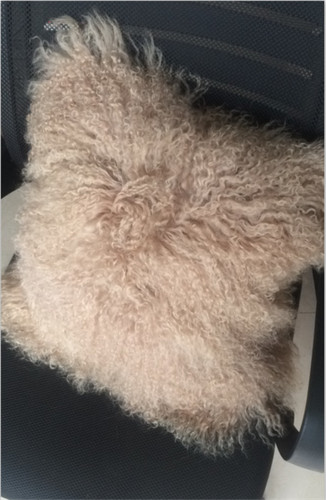 100 real mongolian - 100%, sheepskin