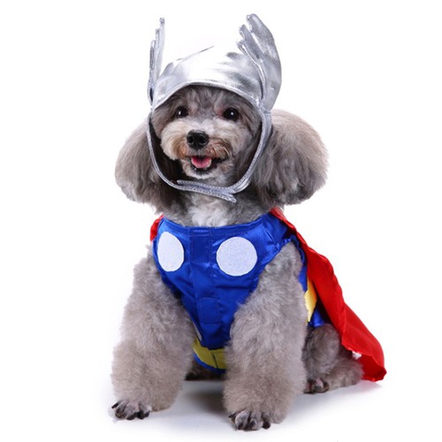 Sets dog clothes man outfit - ,