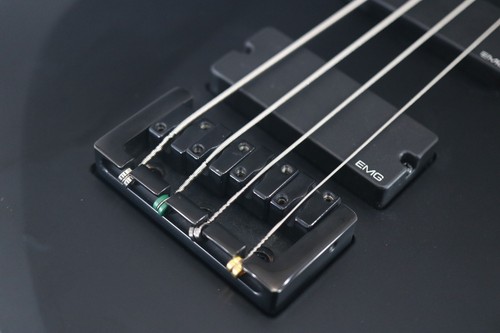 Fernandes ravelle bass - ravelle,