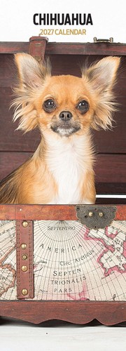 Chihuahua 2027 slim - chihuahua,