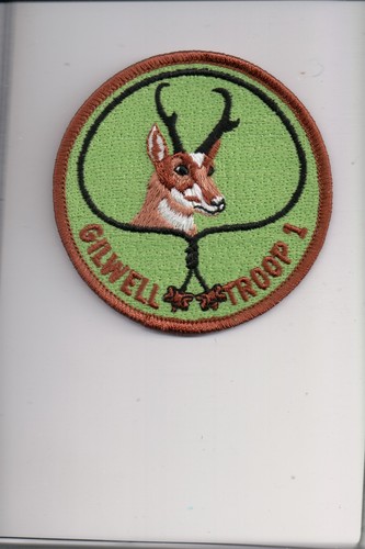 Analope gilwell troop 1 - gilwell,
