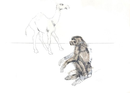 Elisabeth frink aesop fables - elisabeth, aesop's