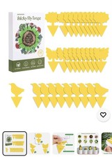 3x aonova Fruit Fly Traps