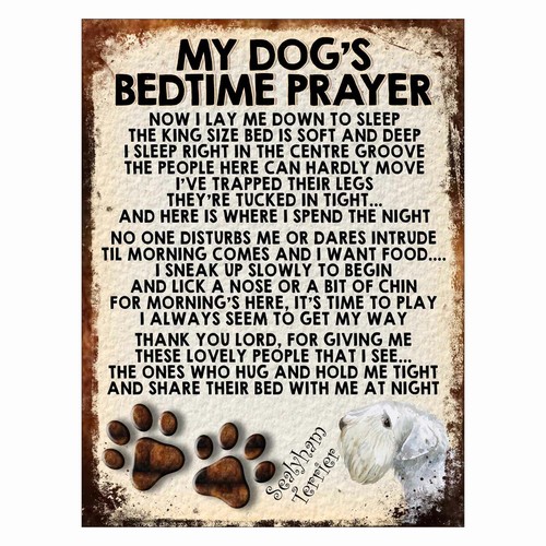 Dog bedtime prayer retro - bedtime,