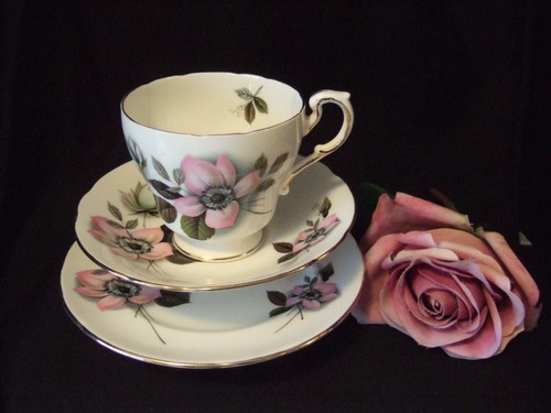 Paragon pompadour bone china - paragon,