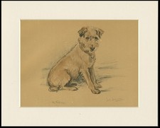 BORDER TERRIER VINTAGE DOG ART