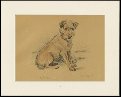 Border terrier vintage dog - vintage,