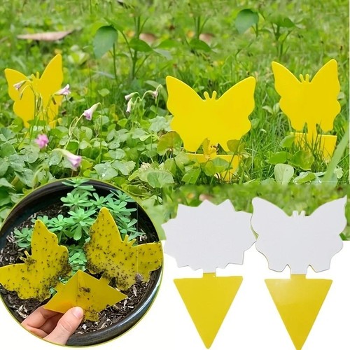 40pcs yellow sticky insect - 10-40pcs,